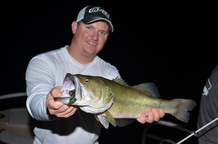 do bass bite at night?