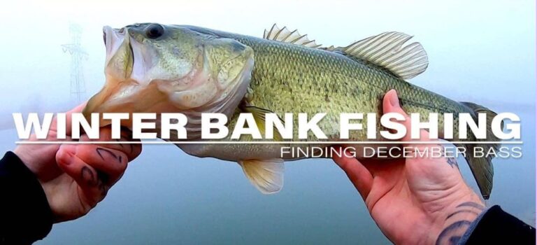 Winter Bass Fishing from the Bank