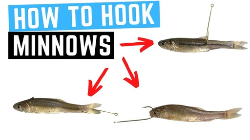 ways to hook a minnow