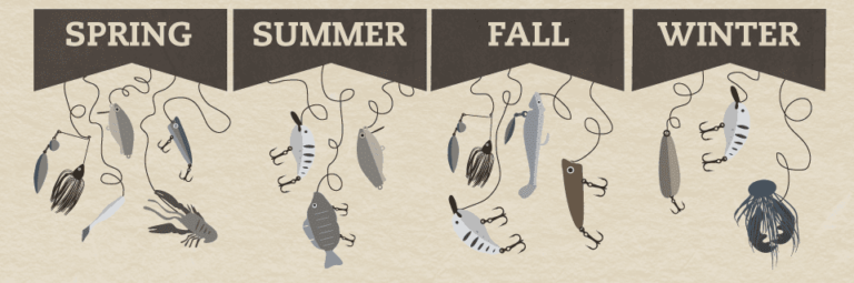 how to know what bass are feeding on by season