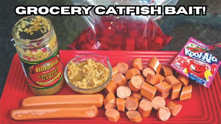 Best Catfish Bait from the Grocery Store