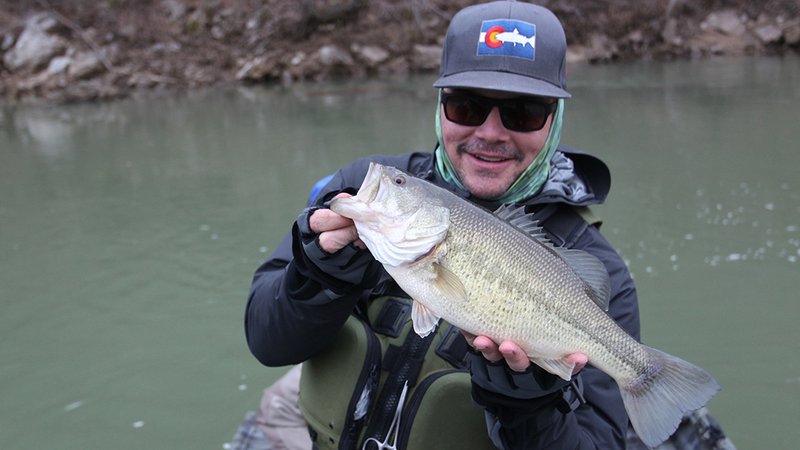 what do bass do in the winter?
