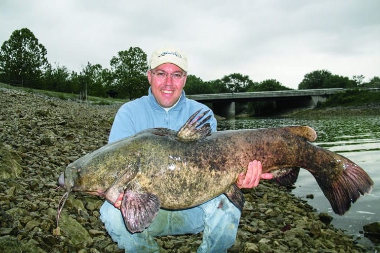 best time of year to bank fish for catfish at night