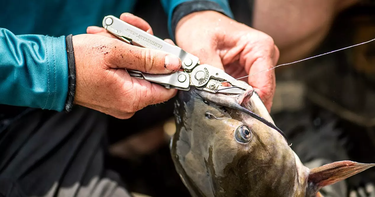 how to fish for catfish from the bank