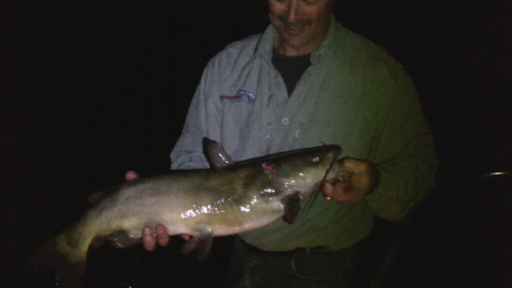 bank fishing for catfish at night