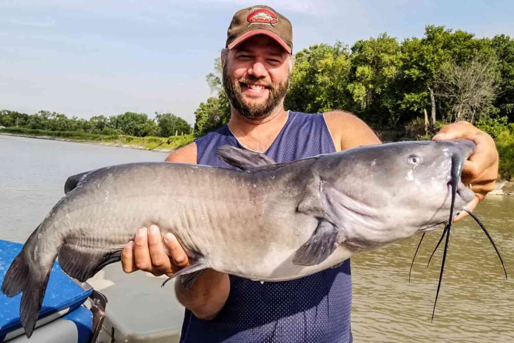 can you catch catfish during the day?