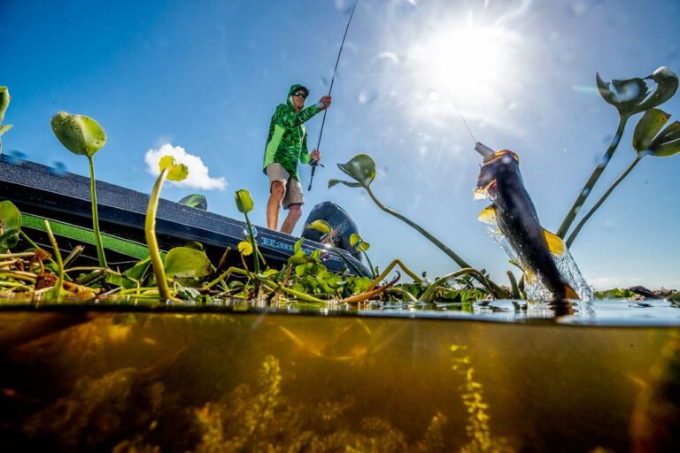 best color lures for sunny days