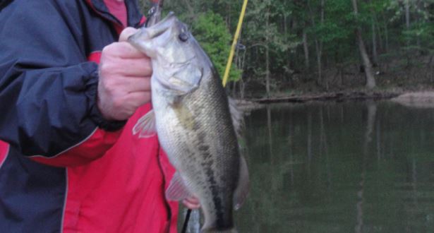 is pre-spawn good for bass fishing?