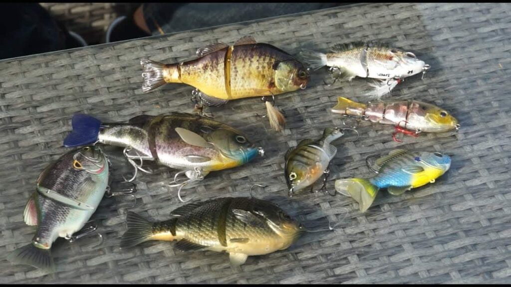 7 Best Bluegill Swimbaits for Bass Fishing – Barb Catch Fishing