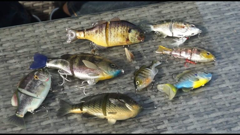 best bluegill swimbait