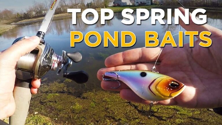 best lures for pond bass in spring