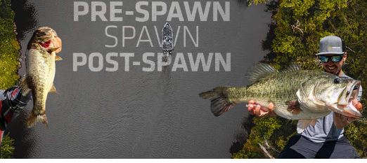 pre-spawn, spawn, post-spawn