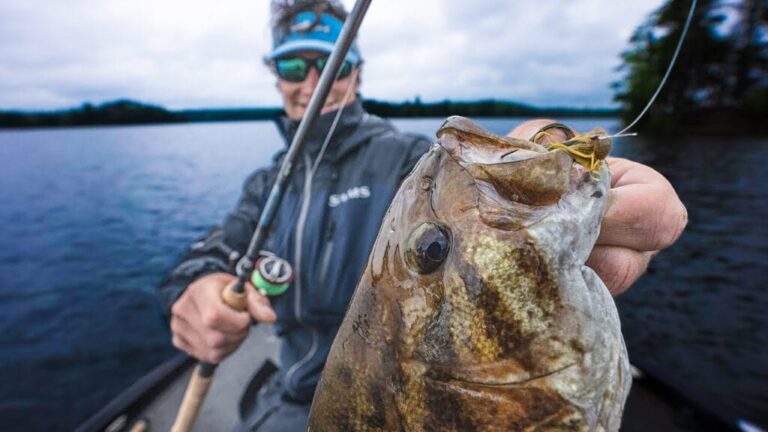 best smallmouth bass jigs