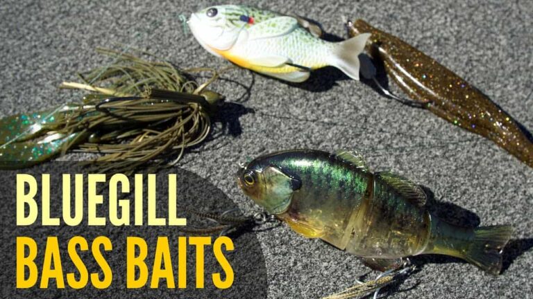 best bluegill lures for bass