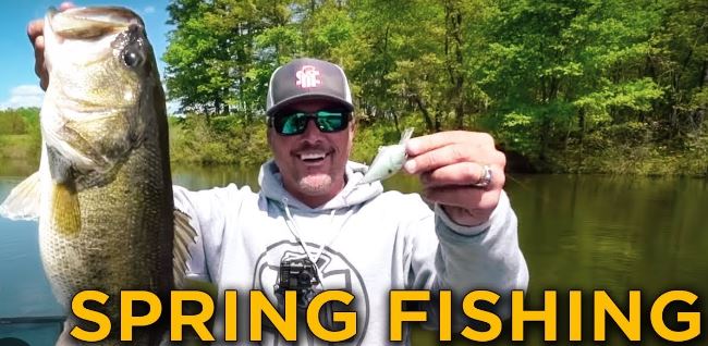 best bass lures for pond fishing in spring