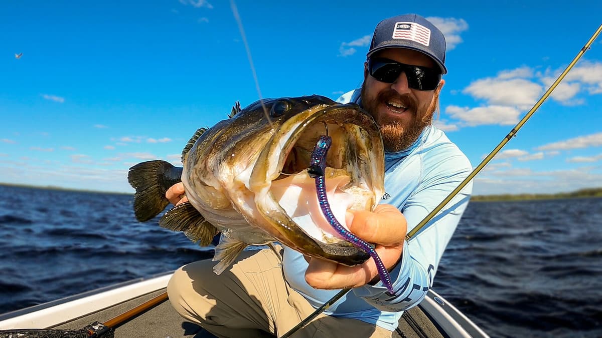 How to fish a shaky head for bass