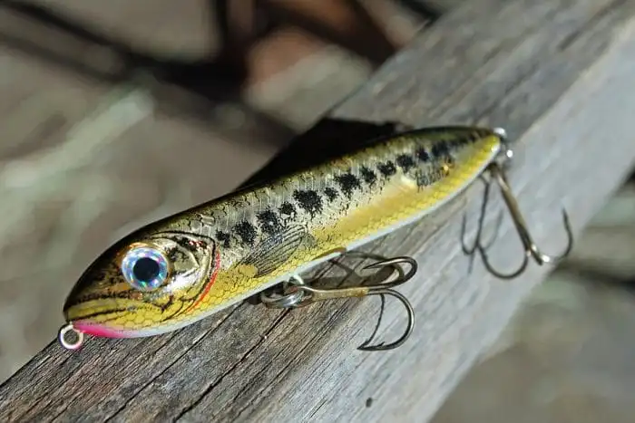 heddon zara spook