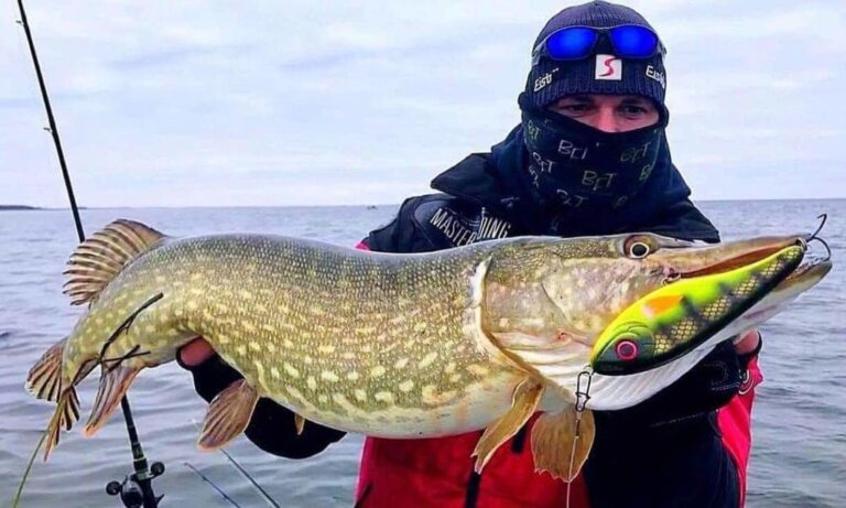 best jerkbaits for pike