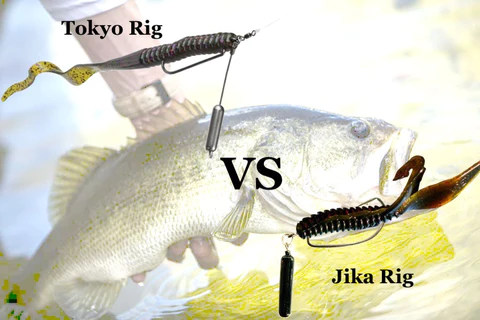 Tokyo rig vs Jika rig