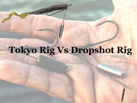 Tokyo rig vs Drop Shot