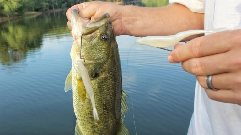 how to fish a fluke for bass