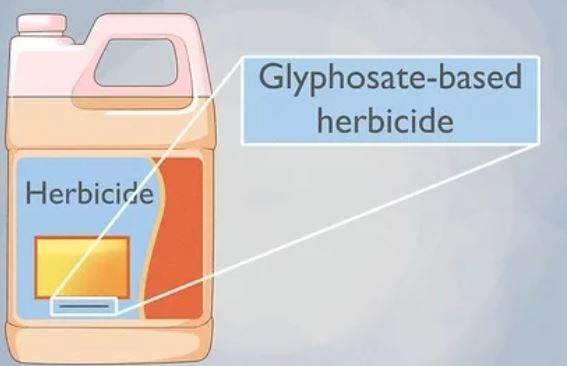 fish safe herbicide