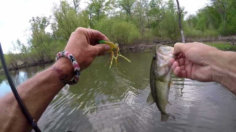 best bass lures for pond fishing