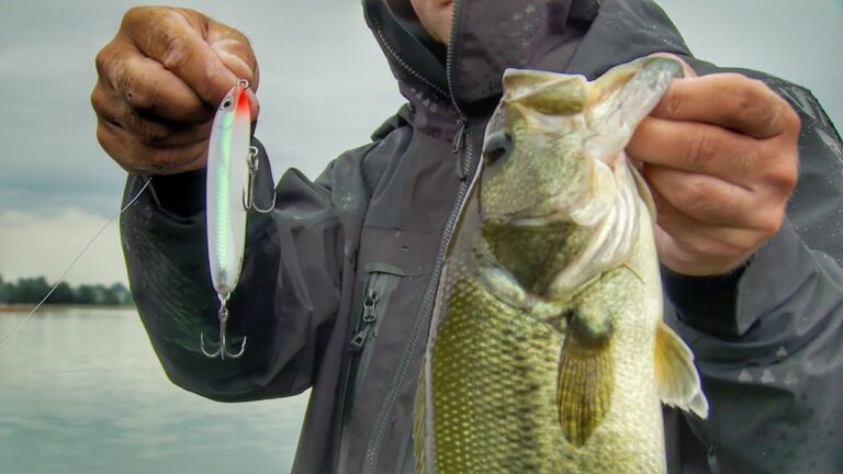 best walking baits for bass