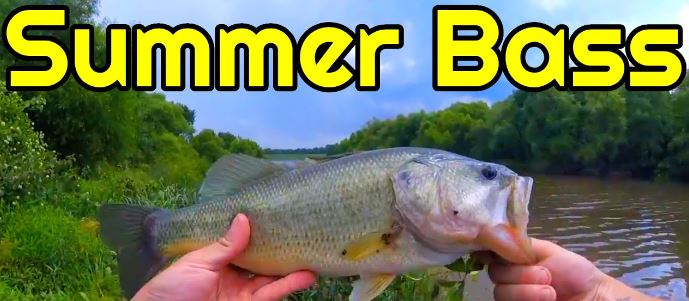 best bass lures for pond fishing in summer