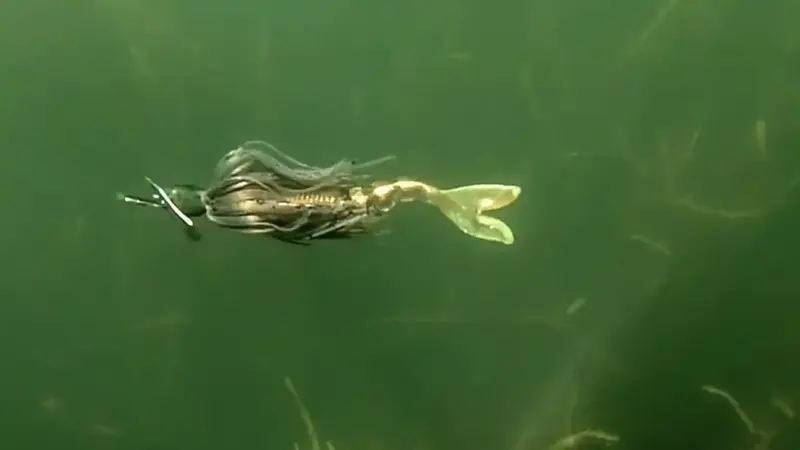 fishing a chatterbait in grass