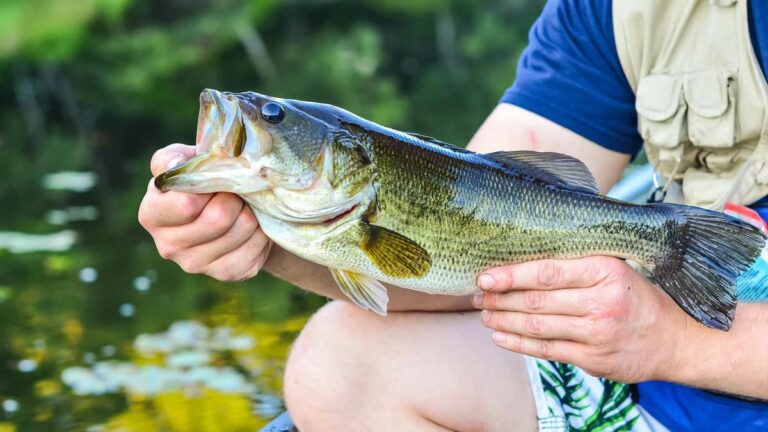 Where to Bank Fish for Bass in Cleburne Texas