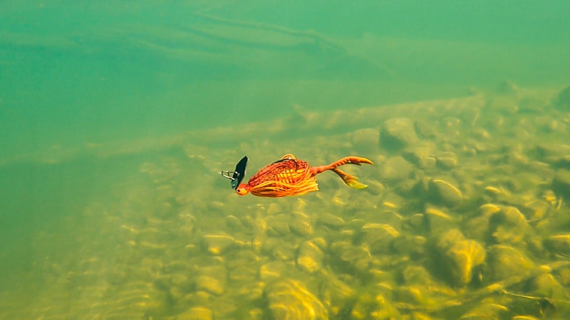 fishing a chatterbait in rocks