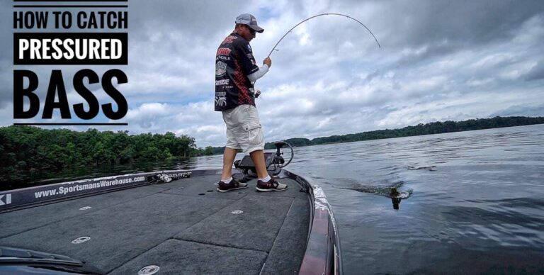 Best Lures for Pressured Bass