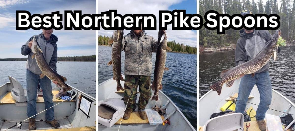 best pike spoons