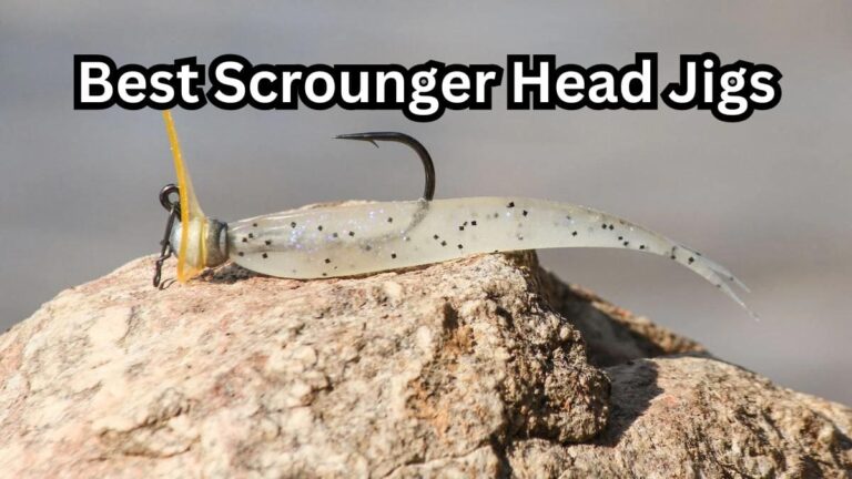 best scrounger head jigs