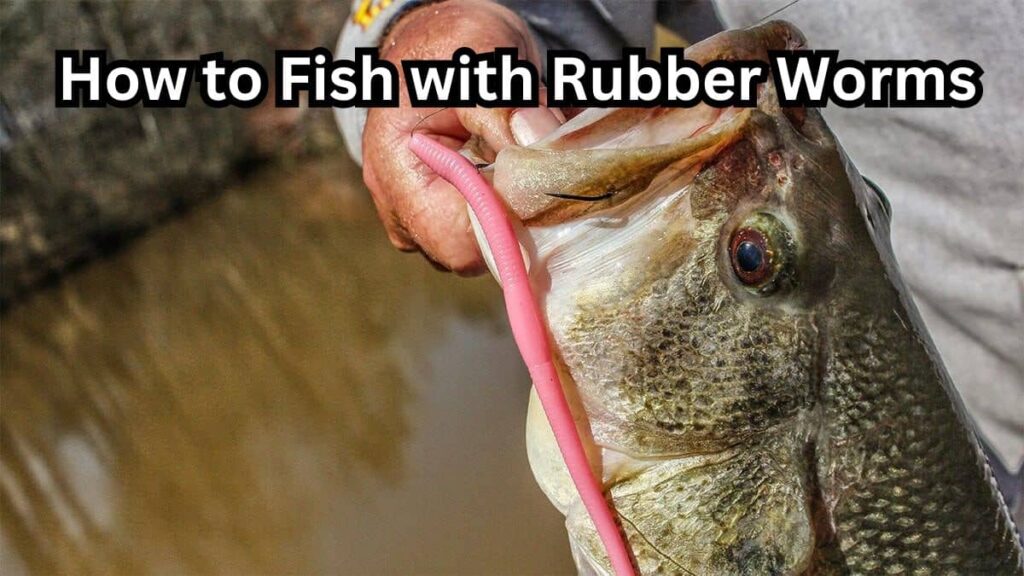 How to fish with rubber worms