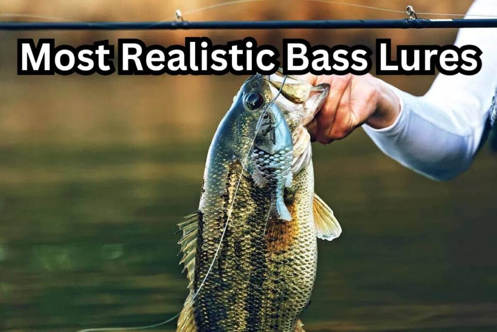 most realistic bass lures