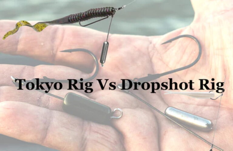 Tokyo Rig vs Drop Shot Rig for Bass Fishing