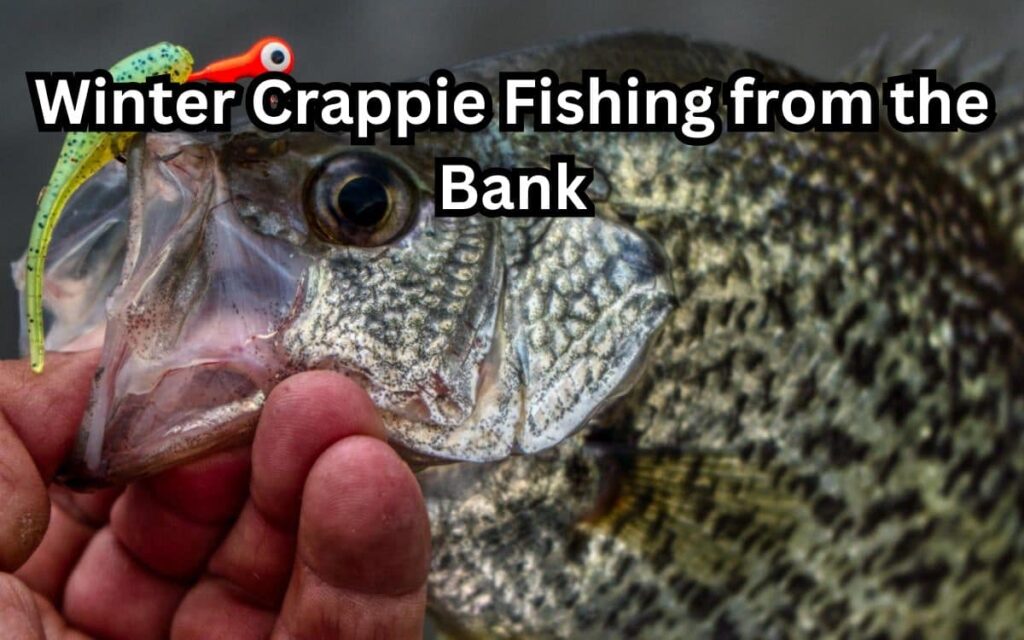 winter crappie fishing from the bank