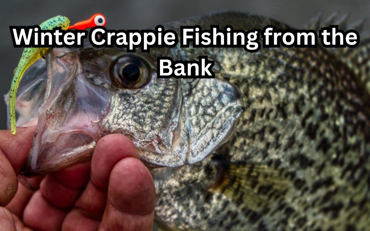 winter crappie fishing from the bank