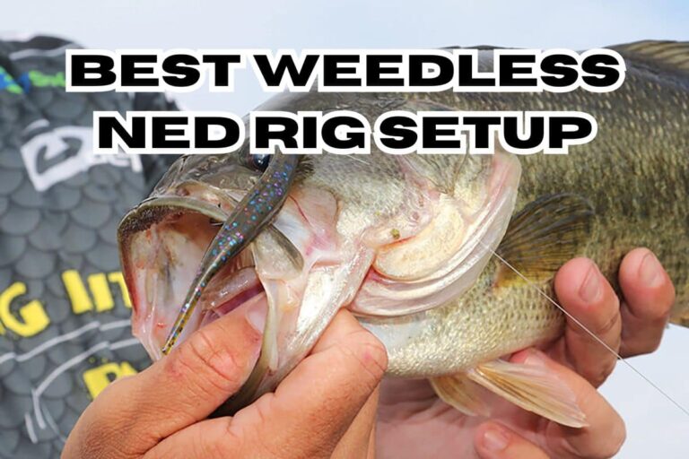 weedless ned rig