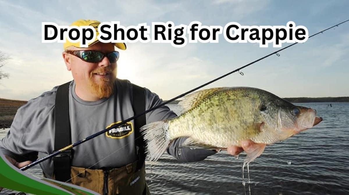 drop shot rig for crappie