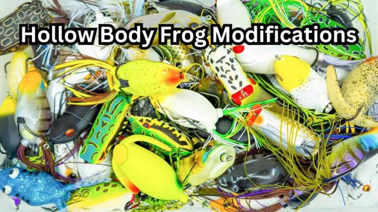 best hollow body frog modifications