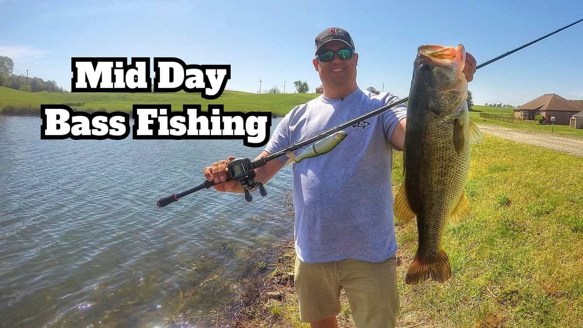 mid day bass fishing