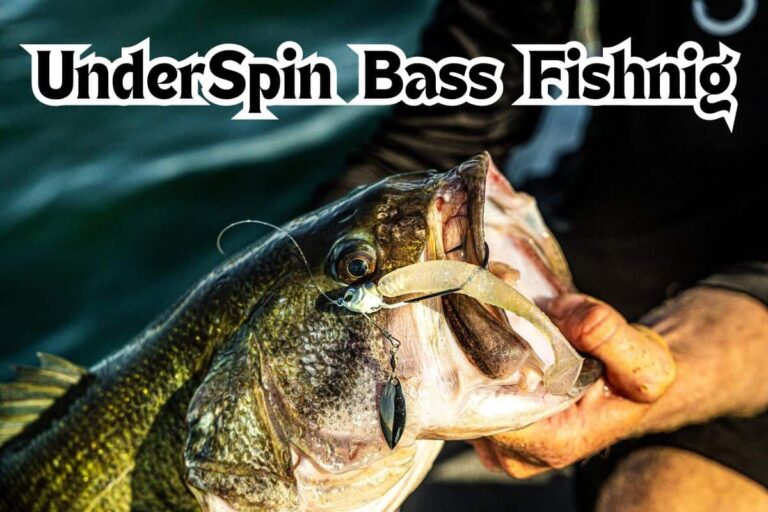 Underspin Bass Fishing