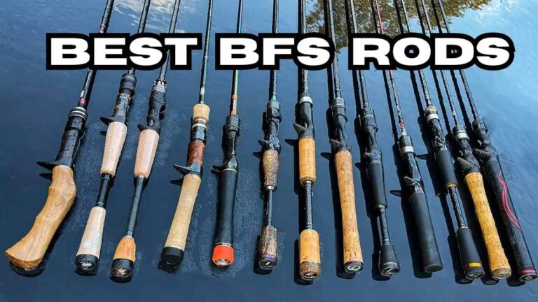 Best BFS Rods