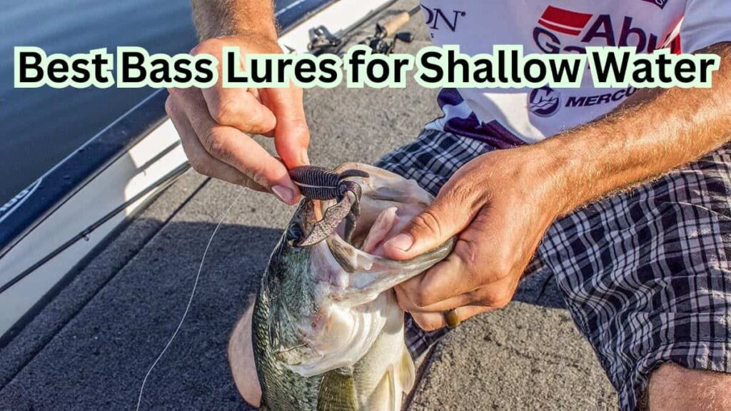Best Bass Lures for Shallow Water