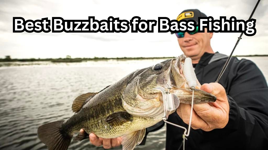 best buzzbaits for bass fishing