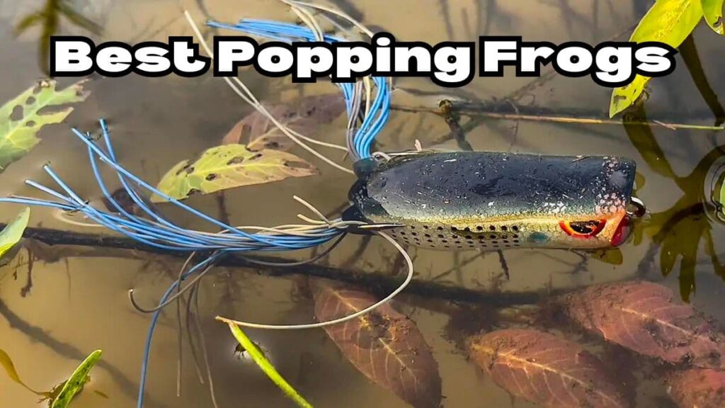 best popping frogs