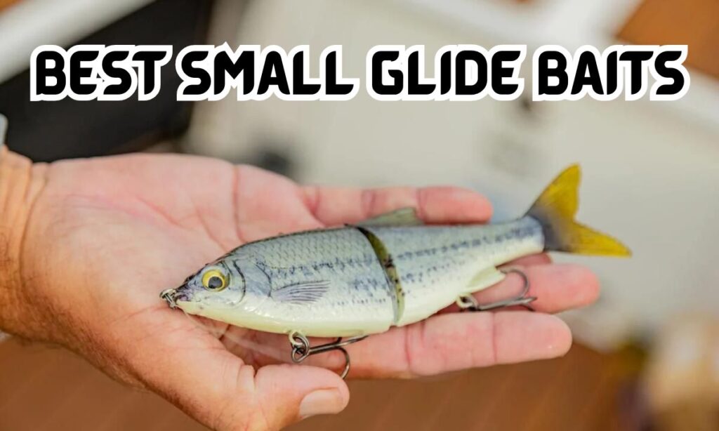 best small glide baits for bass fishing